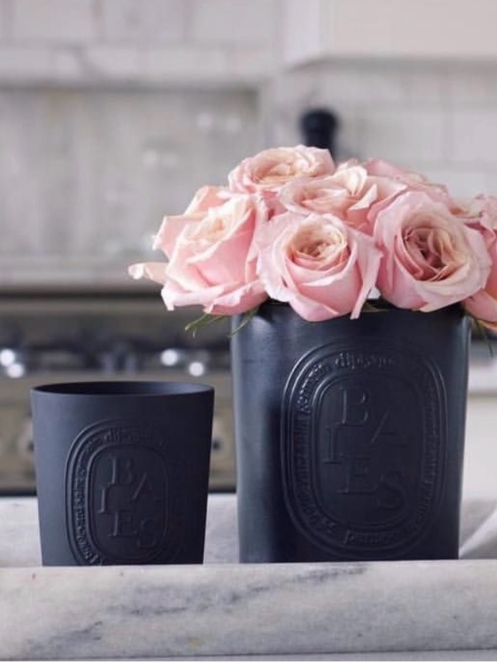 DIPTYQUE Baies Black Empty 3-Wick Ceramic Candle Jar 21 oz 600g VGUC